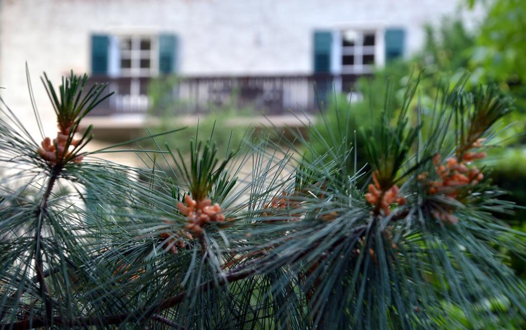 Apartment Im Garten 9 Gargazzone Bagian luar foto