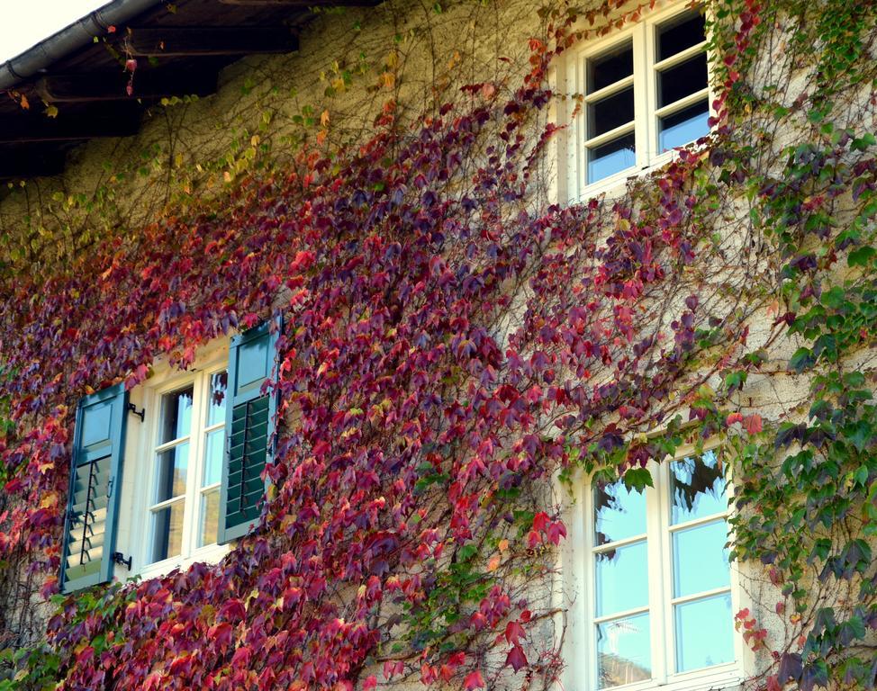 Apartment Im Garten 9 Gargazzone Bagian luar foto